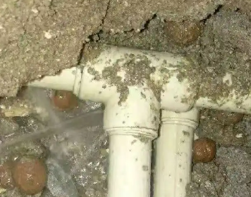 港南测漏水多少钱