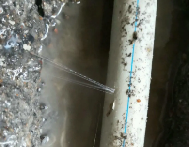 港南测漏水哪家好