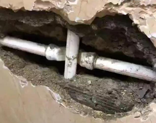 港南测漏水哪家好