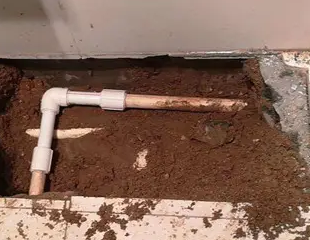 港南测漏水哪家好