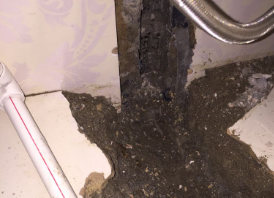 港南卫生间测漏水哪家好