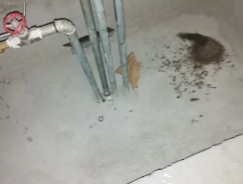 港南卫生间测漏水价格明细