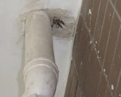 港南漏水检测哪家好